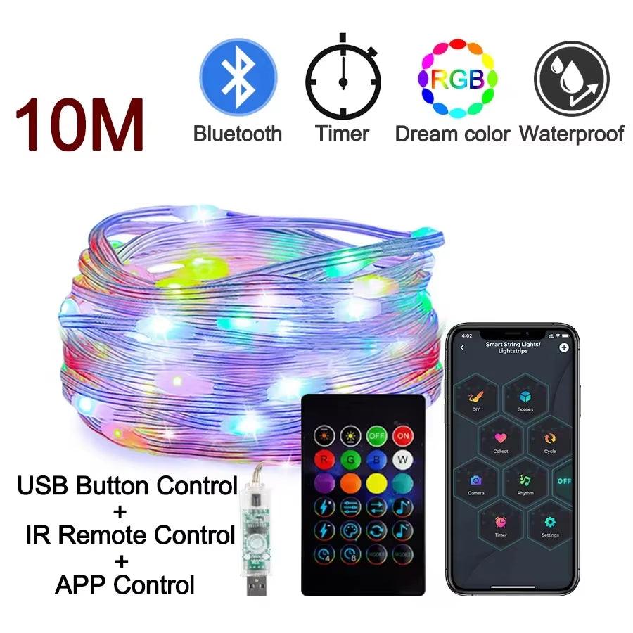 Dreamcolor Rgb Led Strip WS2812B Bluetooth Smart String Fairy Lights Christmas Garland Light Waterproof for Party Curtain Room - CasaClick