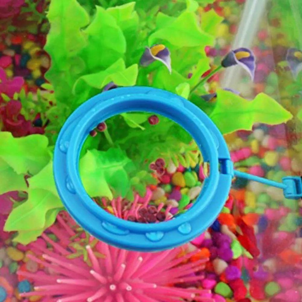 Fish Food Feeding Ring - CasaClick