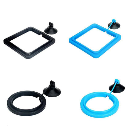 Fish Food Feeding Ring - CasaClick