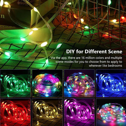 Dreamcolor Rgb Led Strip WS2812B Bluetooth Smart String Fairy Lights Christmas Garland Light Waterproof for Party Curtain Room - CasaClick