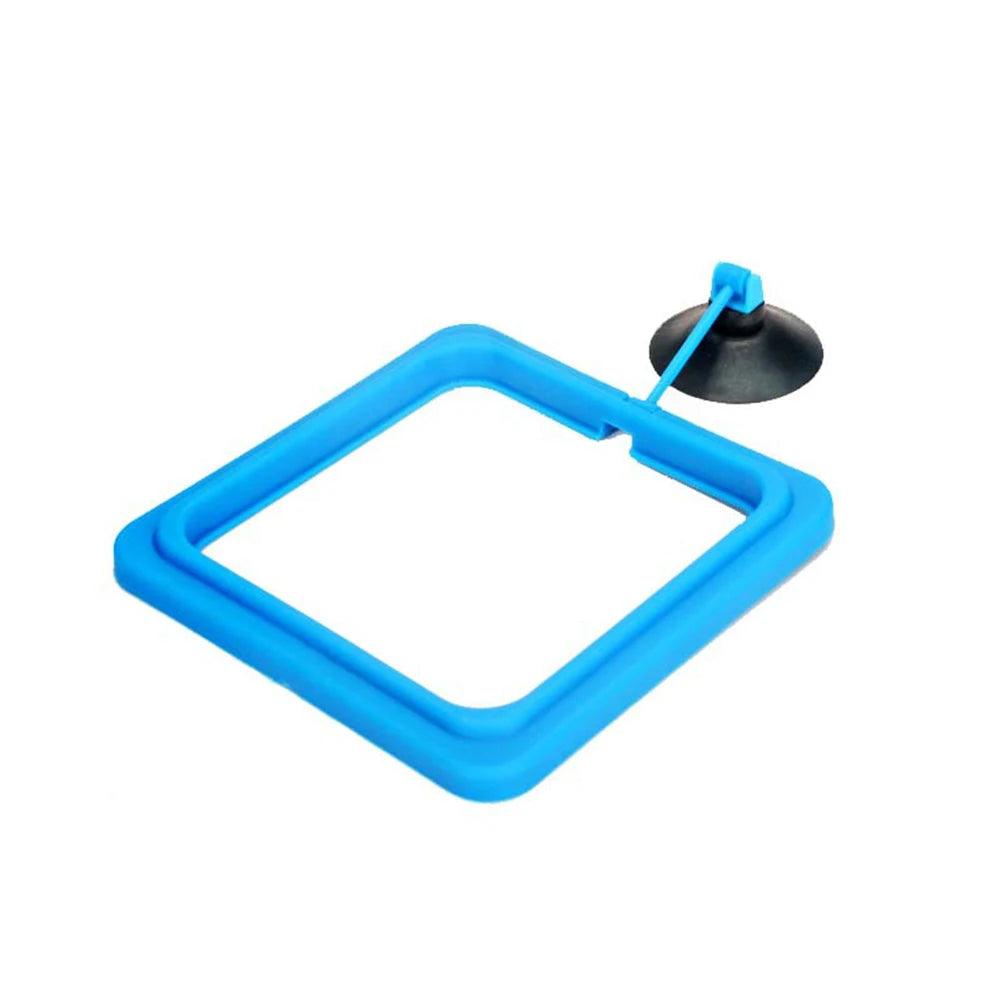 Fish Food Feeding Ring - CasaClick