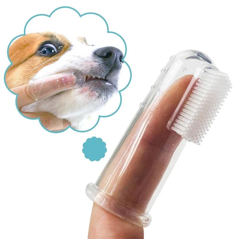 Pet Teeth Cleaner Pen - CasaClick