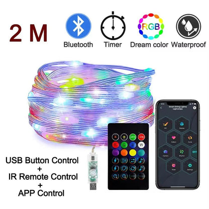 Dreamcolor Rgb Led Strip WS2812B Bluetooth Smart String Fairy Lights Christmas Garland Light Waterproof for Party Curtain Room - CasaClick