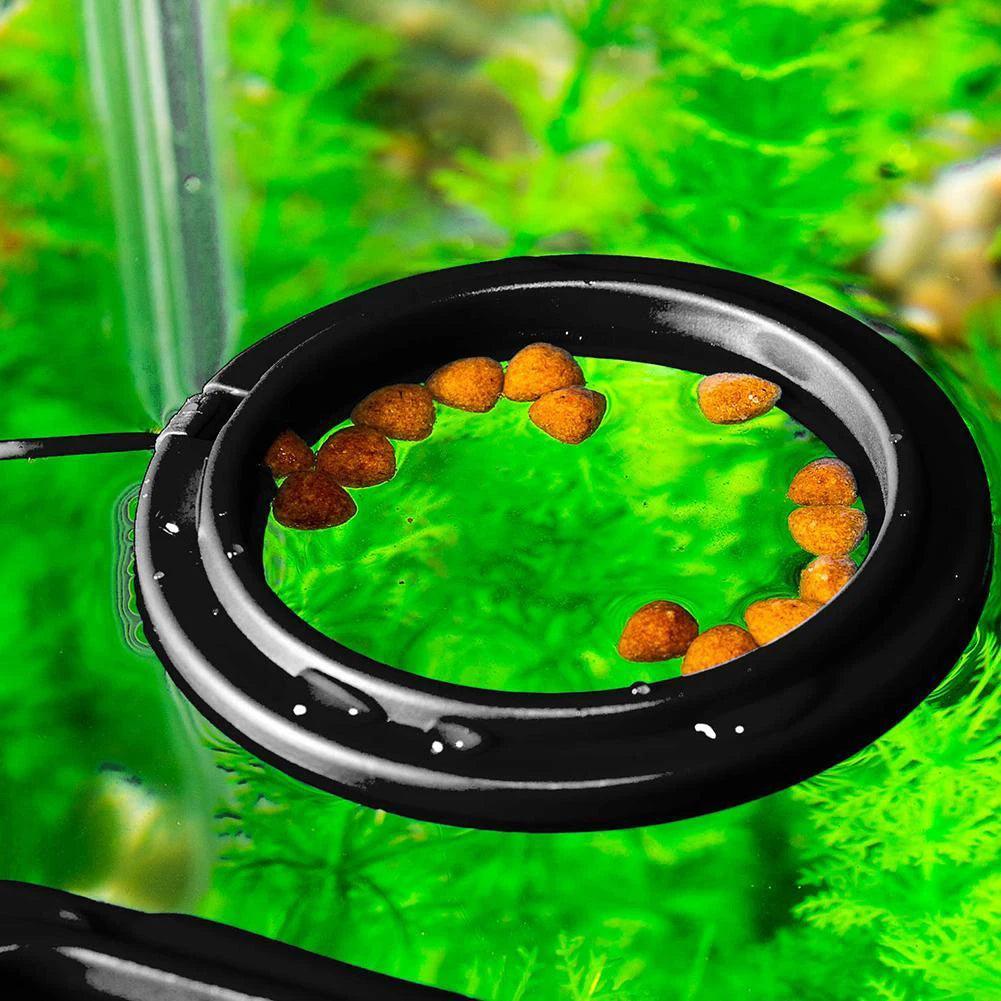 Fish Food Feeding Ring - CasaClick