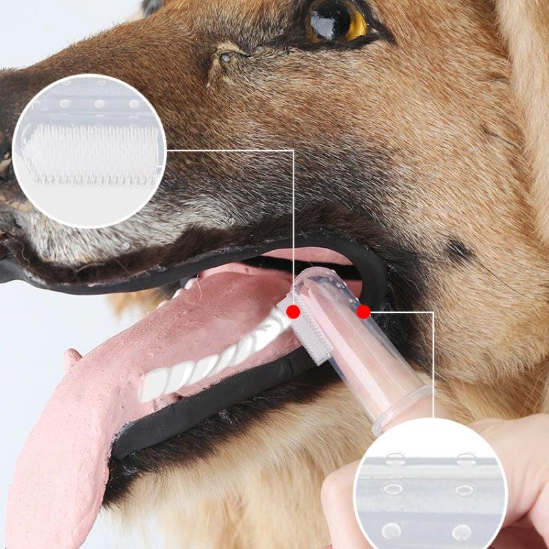 Pet Teeth Cleaner Pen - CasaClick