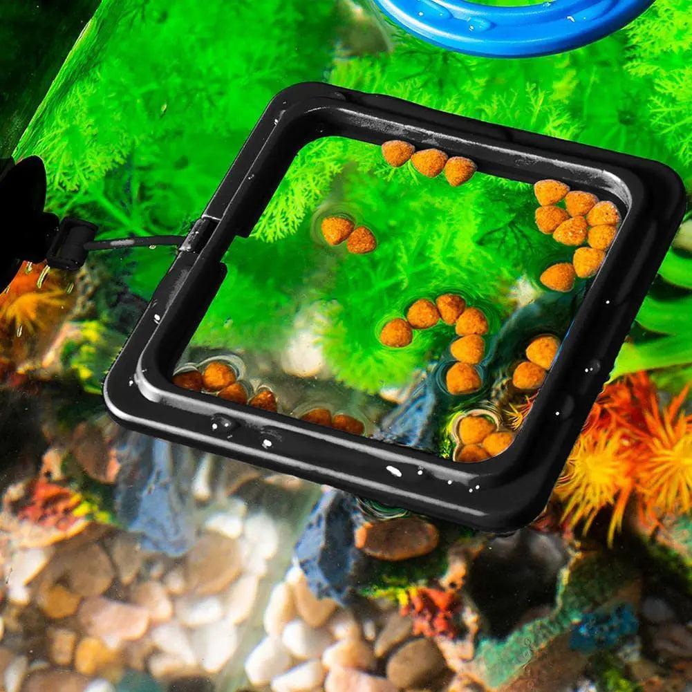 Fish Food Feeding Ring - CasaClick