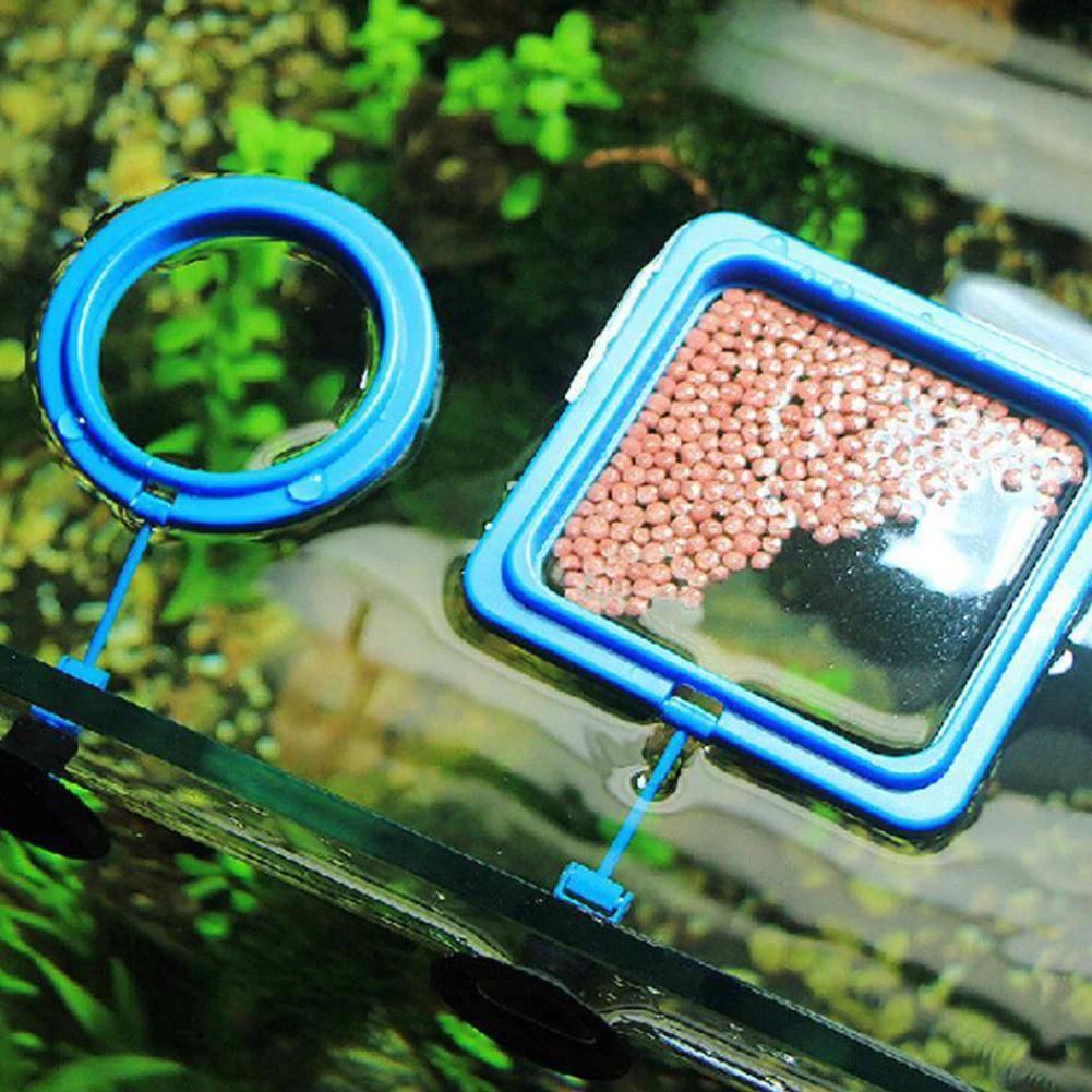 Fish Food Feeding Ring - CasaClick